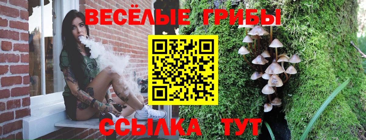 Галлюциногенные грибы прущие грибы Алейск