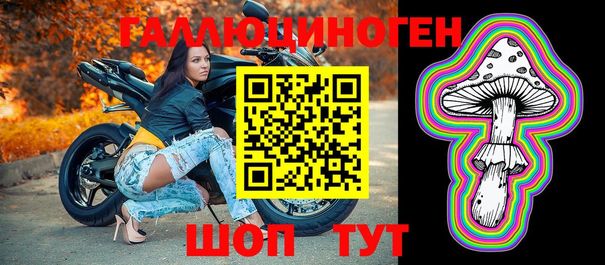 Алейск  Галлюциногенные грибы прущие грибы  Вход с VPN 